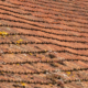 Sagging rustic French roof tiles, full frame construction background texture