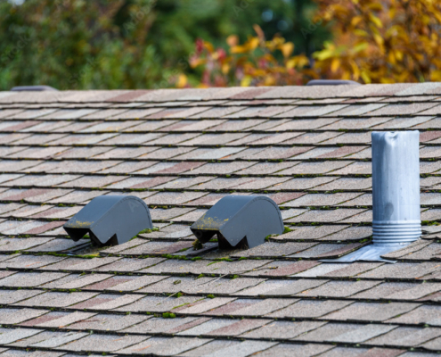 Suburban house rooftop, asphalt shingles, roof vents, fall color with magnolia tree behind the roof, sunny day