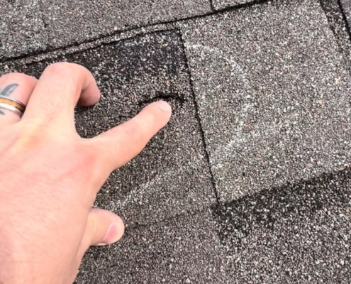 Close-up of hail-damaged asphalt shingles with a hand pointing out granule loss and bruising.