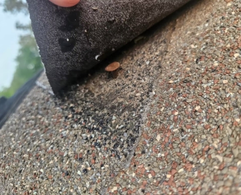 Close-up of a shingle tab lifted to reveal the roofing nail and granules underneath